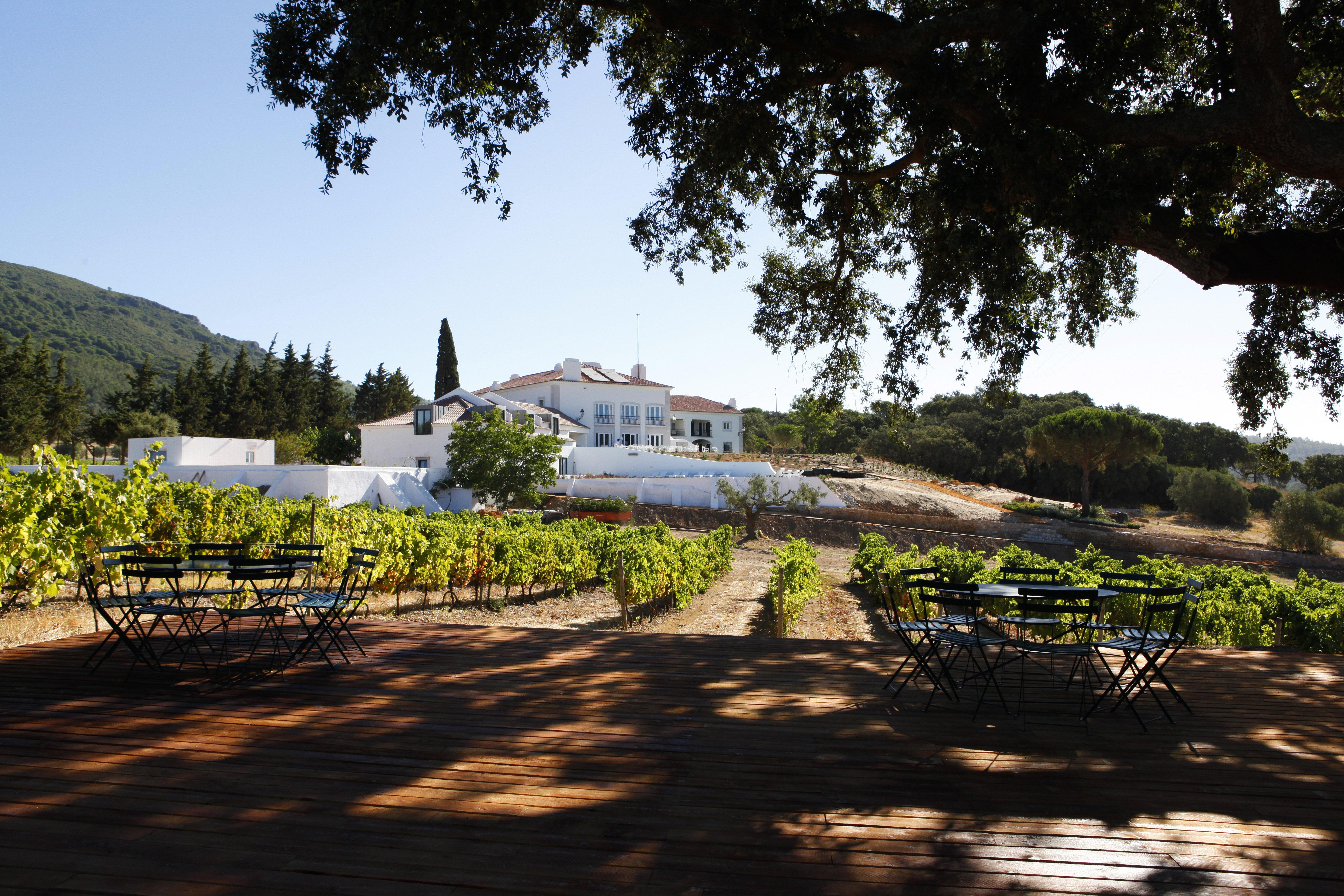 Hotel Casa Palmela - Small Luxury Hotels Of The World, Hotel & Villas Setúbal Dış mekan fotoğraf